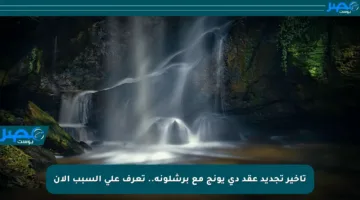 تأخير تجديد عقد دي يونج مع برشلونة.. تعرف على السبب الآن